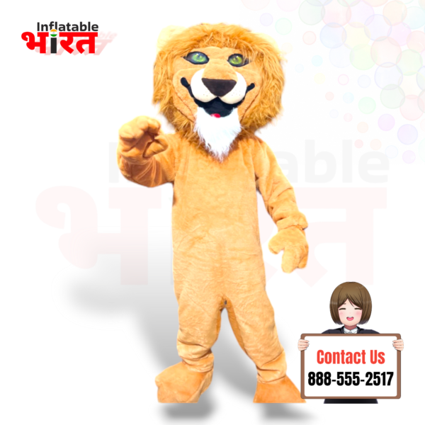 Shera Cartoon Costume