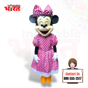 Minnie Mouse Cartoon Costumes