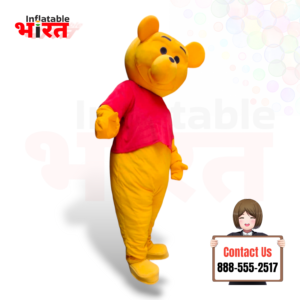 Pooh Cartoon Costume